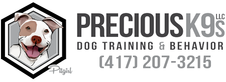 Dog Training Classes and Workshops | Precious K9s Dog Training & Dog ...