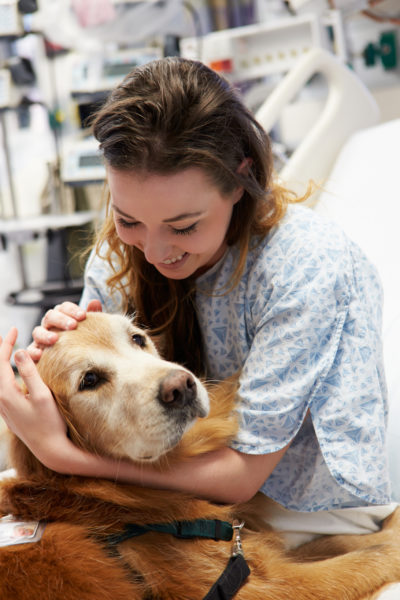 how do you become a therapy dog