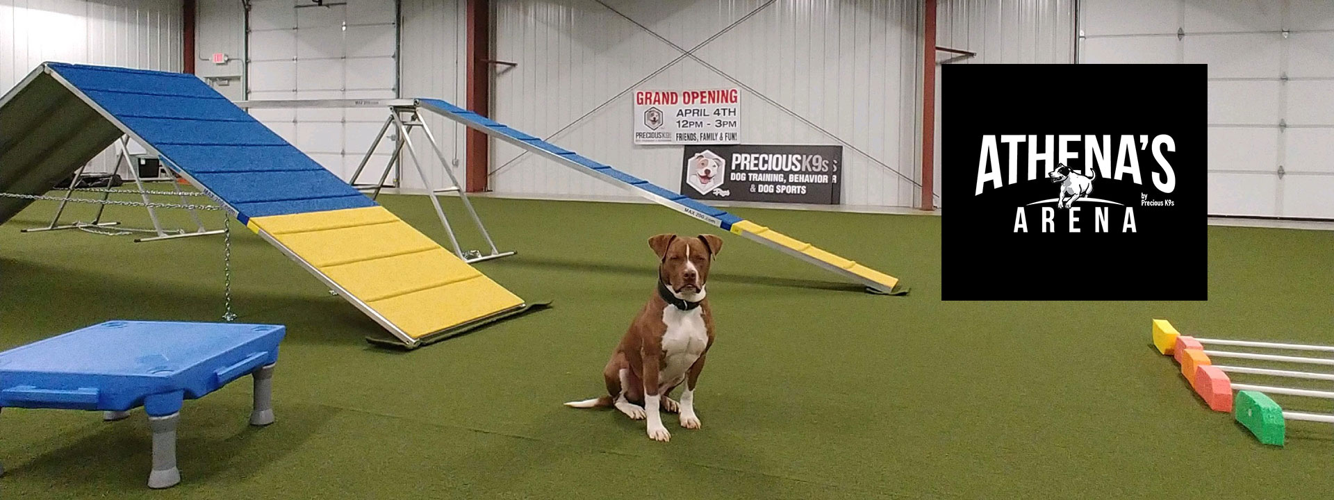 Precious-K9s-dog-training-near-springfield-missouri-mo-4854-South-State-Hwy-ff-arena-7-athenas-arena