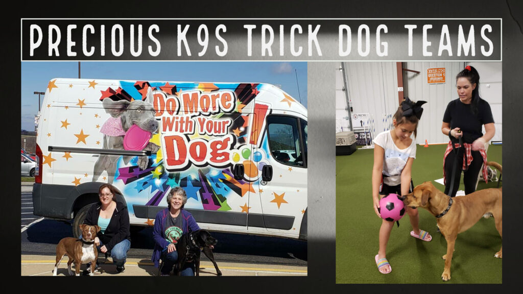 Come join the Precious K9s Trick Dog Teams online! 