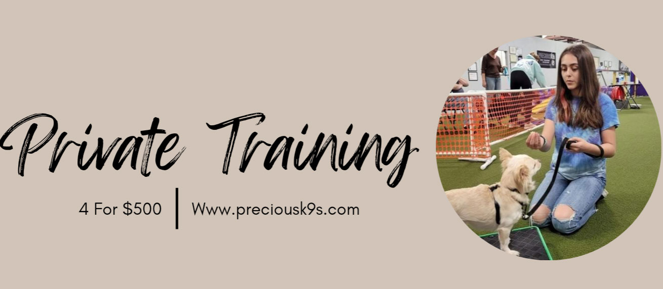 PreciousK9s private training special