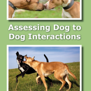 Assessing Dog to Dog Interactions DVD