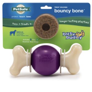 Busy Buddy Bouncy Bone