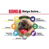 KONG - Image 2