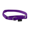 Martingale Collar with Quick Snap Buckle - Image 5