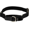 Martingale Collar with Quick Snap Buckle