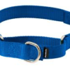 Martingale Collar with Quick Snap Buckle - Image 3
