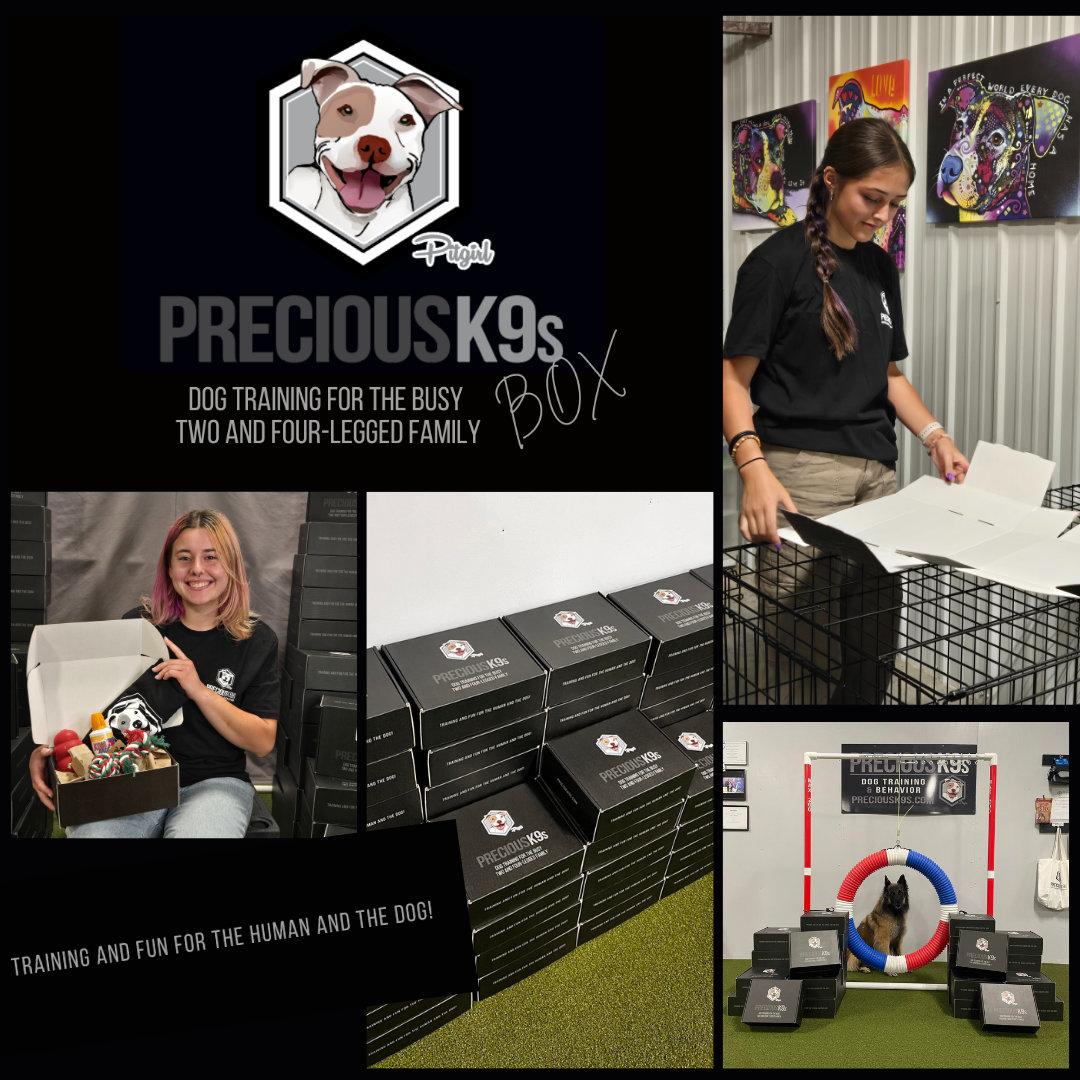 Precious K9s Monthly Gift Box