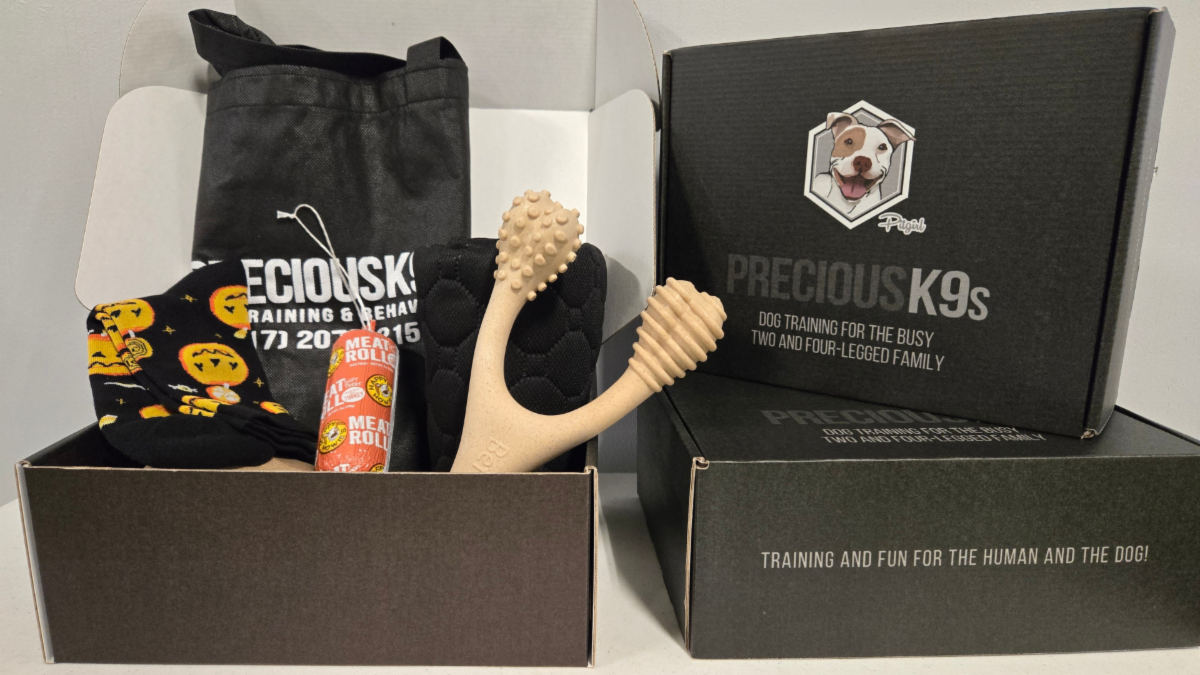 Precious K9s Monthly Gift Box-2boxes