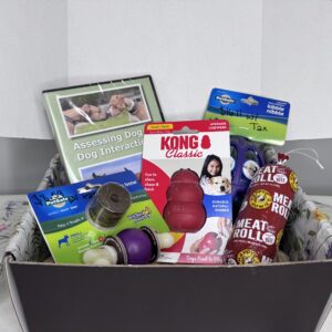 Puppy Box