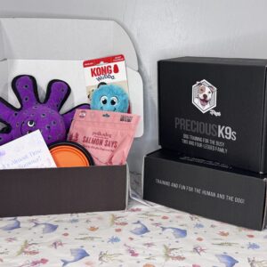 Leave It Training Box