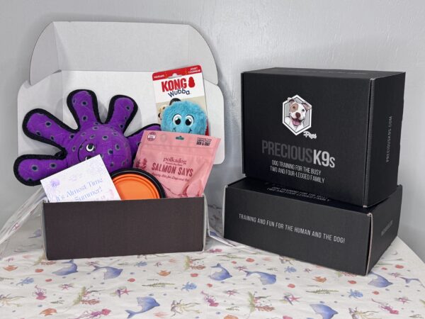 Leave It Training Box