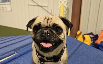 I don’t need to see it to help.