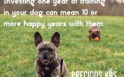 What is socialization? 