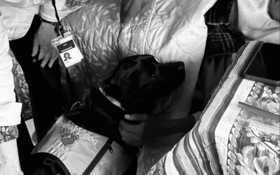 Why do I have to start with the fundamentals?