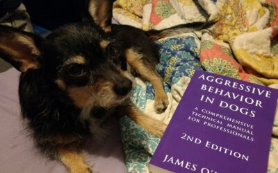 It’s not all in the way they are raised.