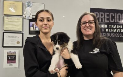 Puppy’s are not gifts.